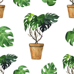 Monstera plant in pot in seamless pattern on white background. Watercolor hand drawing plant in pot. Perfect for wallpaper.