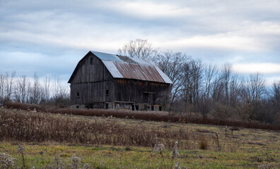 Obraz premium Old Barn in Field of Weeds