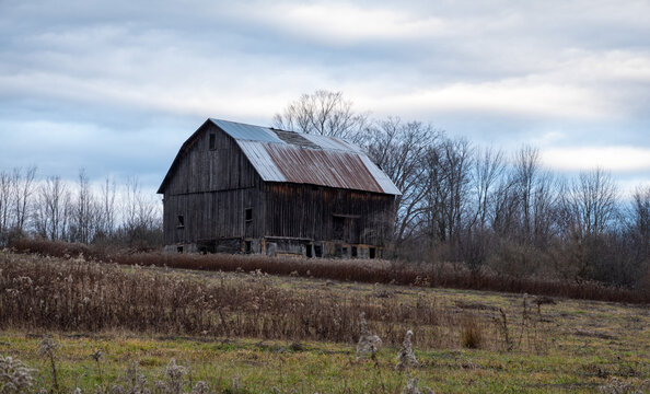 Old Barn in Field of Weeds