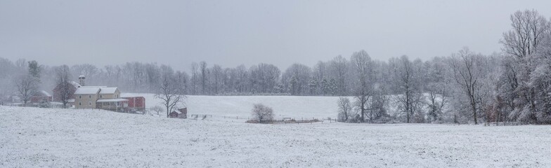 Panorama of Snow Covered Farmland and Forest