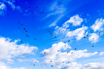 Landscape pictures with clouds and birds outdoors in Germany photographed and edited in daylight