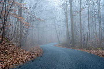 Stone Road on Foggy Winter Morning