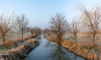 Stream in a Pasture