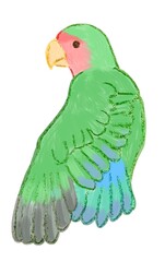 hand holding a parrot