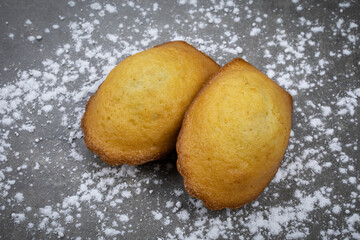 madeleine en gros plan isolé sur un fond gris
