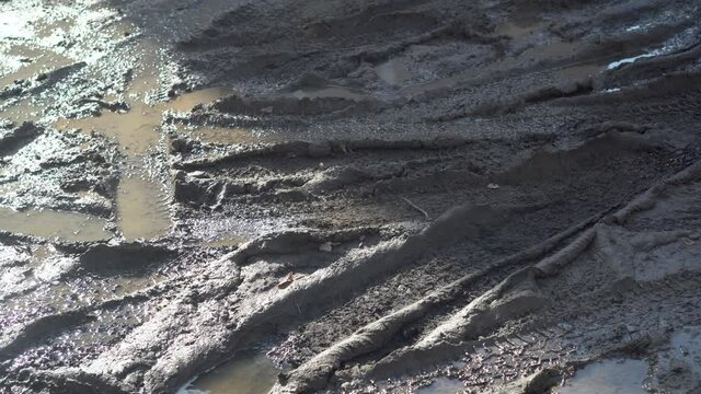 Car tracks on wet ground. Close-up of dirt.