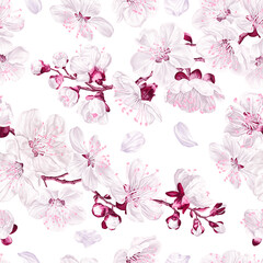 Delicate floral seamless pattern with pink-white sakura flowers and branches, cherry inflorescence. Vector hand-drawn flowers on white background for your surface designs, textiles, garment prints