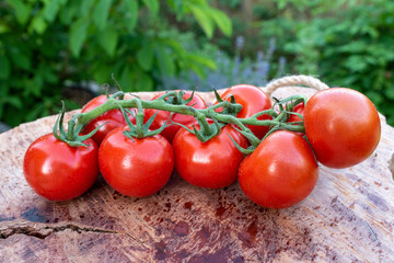 Tomaten