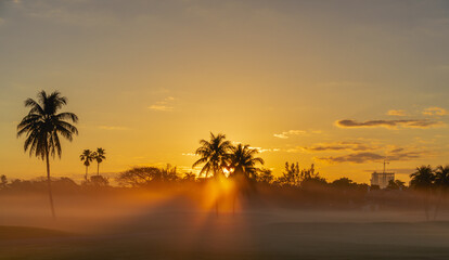 Obraz na płótnie Canvas sunset tropical Miami Florida usa palms sun sky color orange beautiful place 