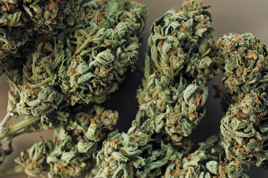 Marijuana buds close-up. Medicinal cannabis flowering on brown background. Hemp recreation, medical use, legalization.
