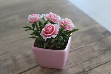 pink roses in a pot