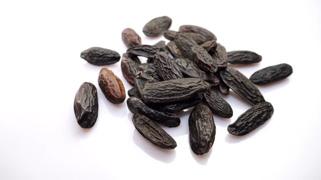 Tonka Beans Animation isolated on white Background