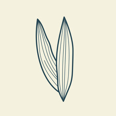 Tropical leaves icon outline drawing. Minimal floral vintage style. Doodle plant vector illustration. Pure nature organic brush. Line drawing. Botanical floral badge. Eco product emblem.