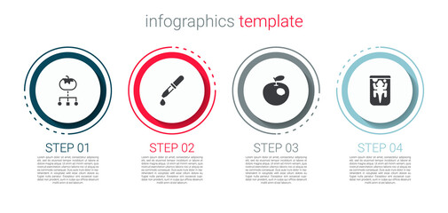 Set Genetically modified food, Pipette, apple and Experimental animal. Business infographic template. Vector