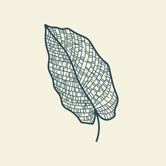 Tropical leaves icon outline drawing. Minimal floral vintage style. Doodle plant vector illustration. Pure nature organic brush. Line drawing. Botanical floral badge. Eco product emblem.