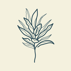 Tropical leaves icon outline drawing. Minimal floral vintage style. Doodle plant vector illustration. Pure nature organic brush. Line drawing. Botanical floral badge. Eco product emblem.