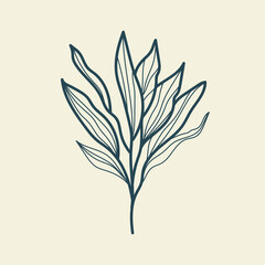 Tropical leaves icon outline drawing. Minimal floral vintage style. Doodle plant vector illustration. Pure nature organic brush. Line drawing. Botanical floral badge. Eco product emblem.