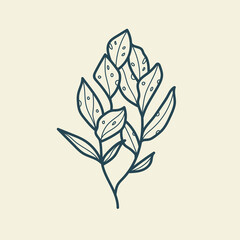 Tropical leaves icon outline drawing. Minimal floral vintage style. Doodle plant vector illustration. Pure nature organic brush. Line drawing. Botanical floral badge. Eco product emblem.