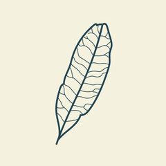Tropical leaves icon outline drawing. Minimal floral vintage style. Doodle plant vector illustration. Pure nature organic brush. Line drawing. Botanical floral badge. Eco product emblem.
