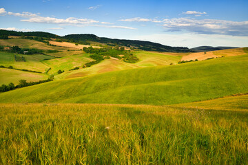 Obraz premium Val d'Orcia, Siena, Tuscany, Italy