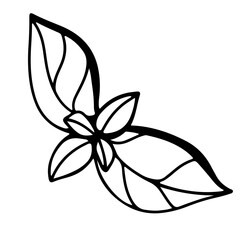 Spice basil sprig. Doodle digital art outline. Print for kitchen, tattoo, design of packaging and wrapping paper, menus, restaurants, products
