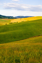 Fototapeta premium Val d'Orcia, Siena, Tuscany, Italy