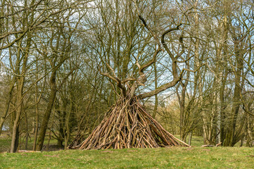 Äste im Wald zu einem Tipi zusammengestellt
