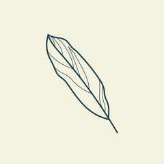 Tropical leaves icon outline drawing. Minimal floral vintage style. Doodle plant vector illustration. Pure nature organic brush. Line drawing. Botanical floral badge. Eco product emblem.
