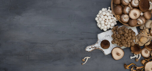 Fototapeta na wymiar Banner of variety of uncooked wild forest mushrooms isolated on gray background. Top view.