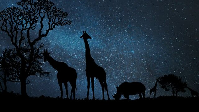 African Landscape by Night: Time Lapse by Night with Giraffe Silhouettes, Stars and Milky Way in Background