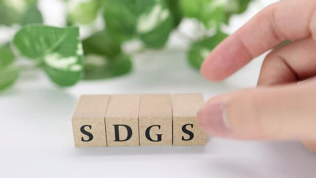 持続可能な開発目標 SDGs