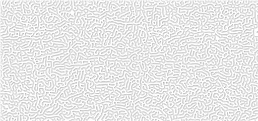 Turing Pattern Background 