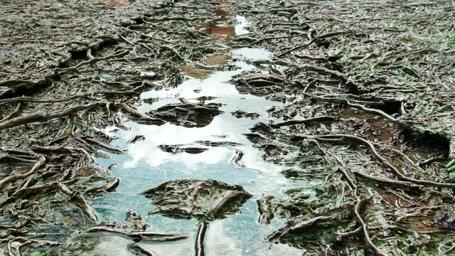 Tres Aguas or Three Waters background view, located near Cathedral of Saint Mary in Town Hall of spanish old city of Toledo. Castile-La Mancha. Travel destinations and landmarks concept. Spain
