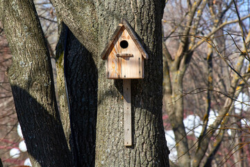 An old vintage wooden birdhouse on a tree trunk against a blue sky background. Taking care of the birds.