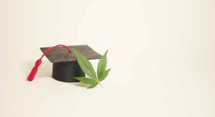Graduate hat with marijuana leaf. Cannabis collage education banner. Copy space