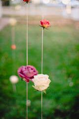 Roses hanging on strings at outdoor wedding reception