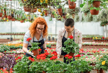 Two female florists working with flowers in a greenhouse preparing orders.