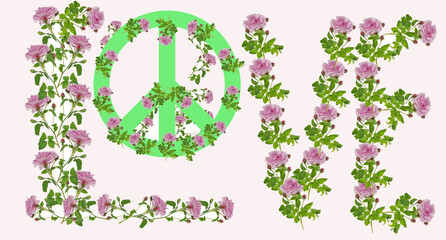 The word LOVE made from pink roses and a pacifist sign. Isolated on white.