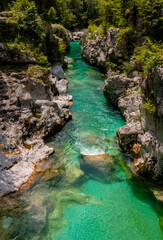 Fototapeta premium Soča Fluss Tal Slowenien Farbe grün klar Idyll türkis Smaradfluss Isonzo Julische Alpen Triglav Nationalpark Wanderung Ziel Stromschnelle Jugoslawien Bovec Canyon Schlucht Kalkstein Felsen Forellen 