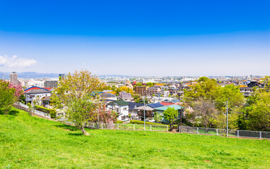 Fototapeta na wymiar 新緑の丘から眺める住宅地
