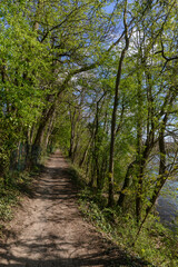 quai du Halage, chemin de randonnée, La Seine, Draveil, 91, Essonne