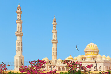 Fototapeta na wymiar A panoramic view from the pier of Hurghada to the minarets of the El Mina mosque, sand towers and domes against the background of a clear blue sky and bright pink flowers, a bird soars in the sky