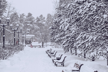 Naklejka premium Snowfall in city park, blizzard and cold weather concept.Trees, benches, lanterns are covered with snow.Fabulous winter.