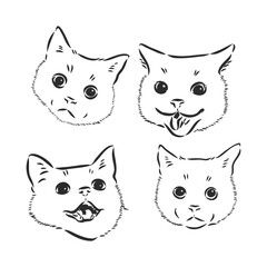cat head black and white. portrait of a cat, vector sketch on a white background