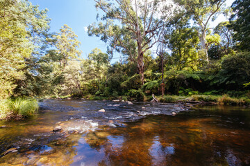 Yarra River View in Warburton Australia