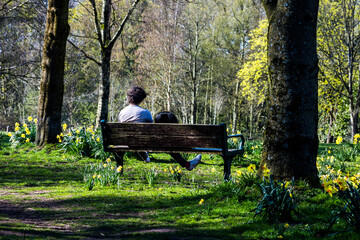 Man sat among daffodils in a local park.