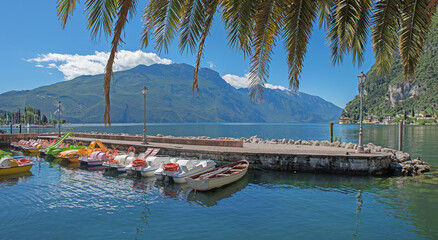 lakeside Riva del Garda, with view through palm leaves, mountain range monte Baldo and paddleboats
