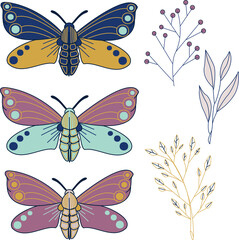 Set of butterflies. Vector illustrations of moths and branches. 