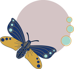 Template with moth and circles. Vector illustration. 