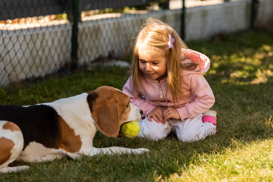 Child Playing With Dog On Grass.